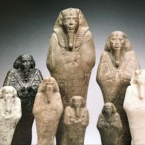 Meet your Posher, Jane